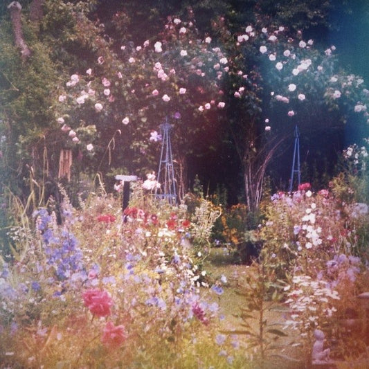 Whimsical Whispers: Exploring the Enchanting World of Fairycore - s o l i s t i a l