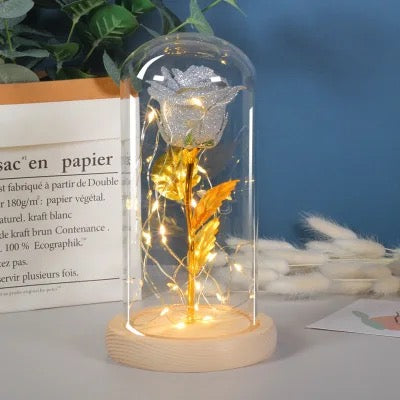 Rose éternelle dans une décoration lumineuse LED en verre