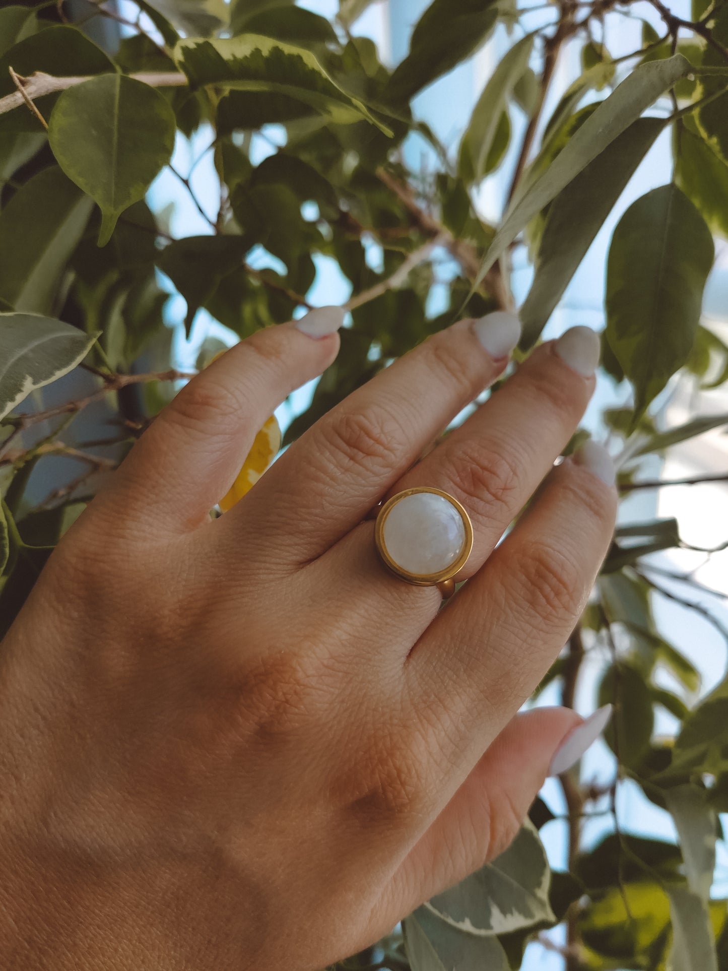 CHHOTA Moonstone Ring Gold