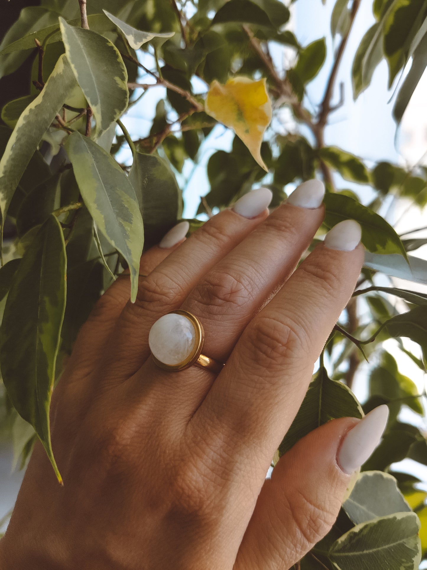 CHHOTA Moonstone Ring Gold