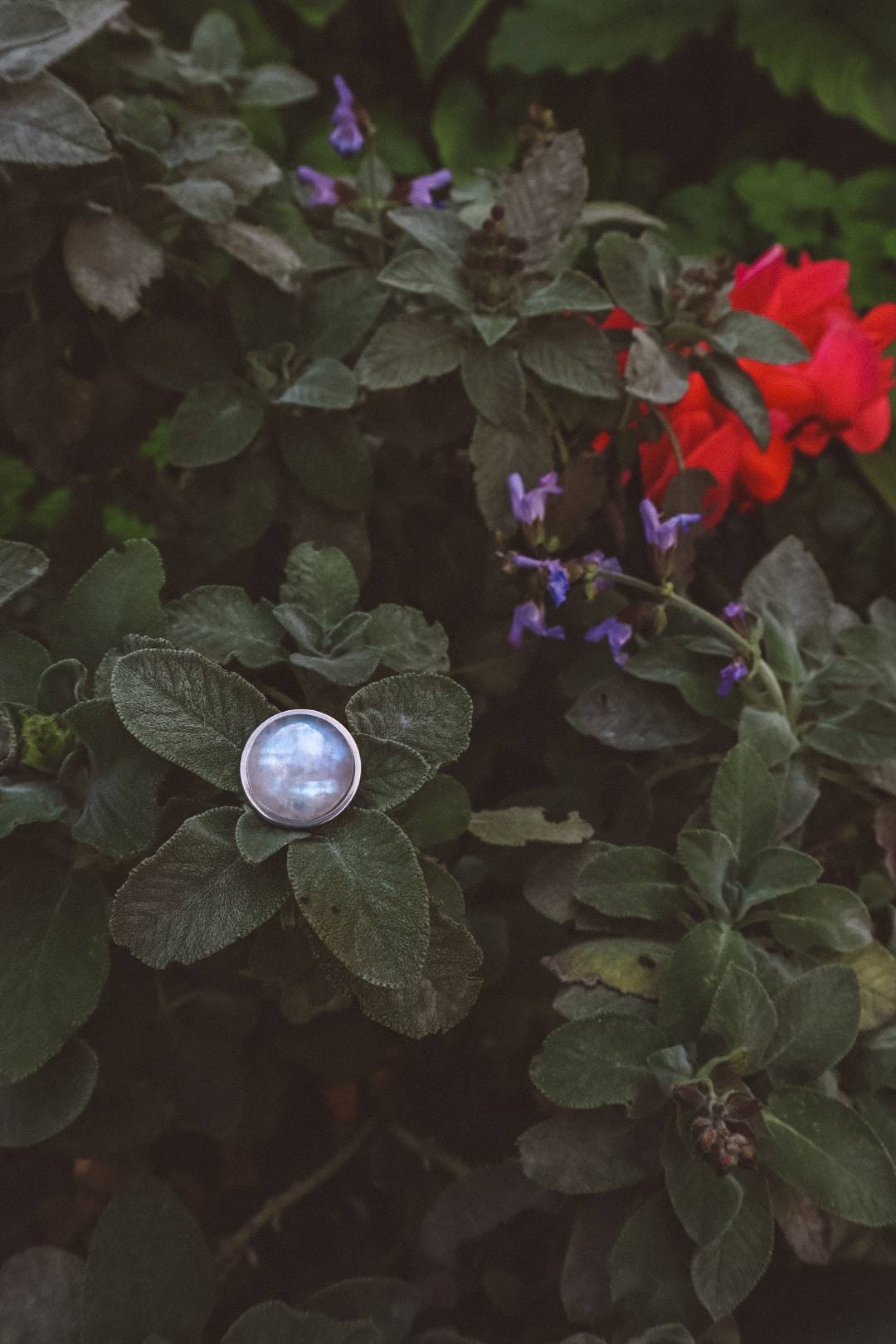 Bague de déclaration AYA en argent avec pierre de lune arc-en-ciel