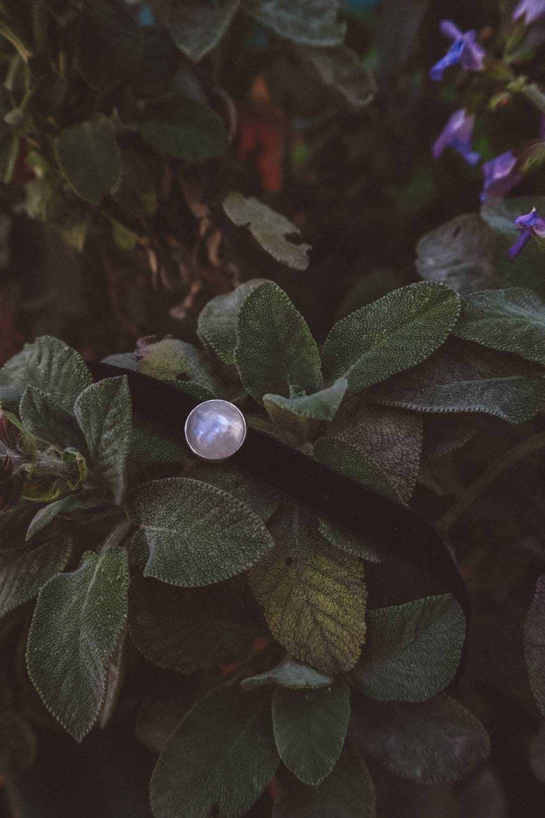 Collier Ras Du Cou En Pierres Précieuses - Noir/Argent