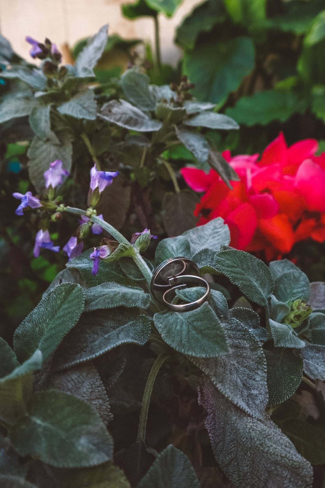 Bague de déclaration AYA en argent avec pierre de lune arc-en-ciel