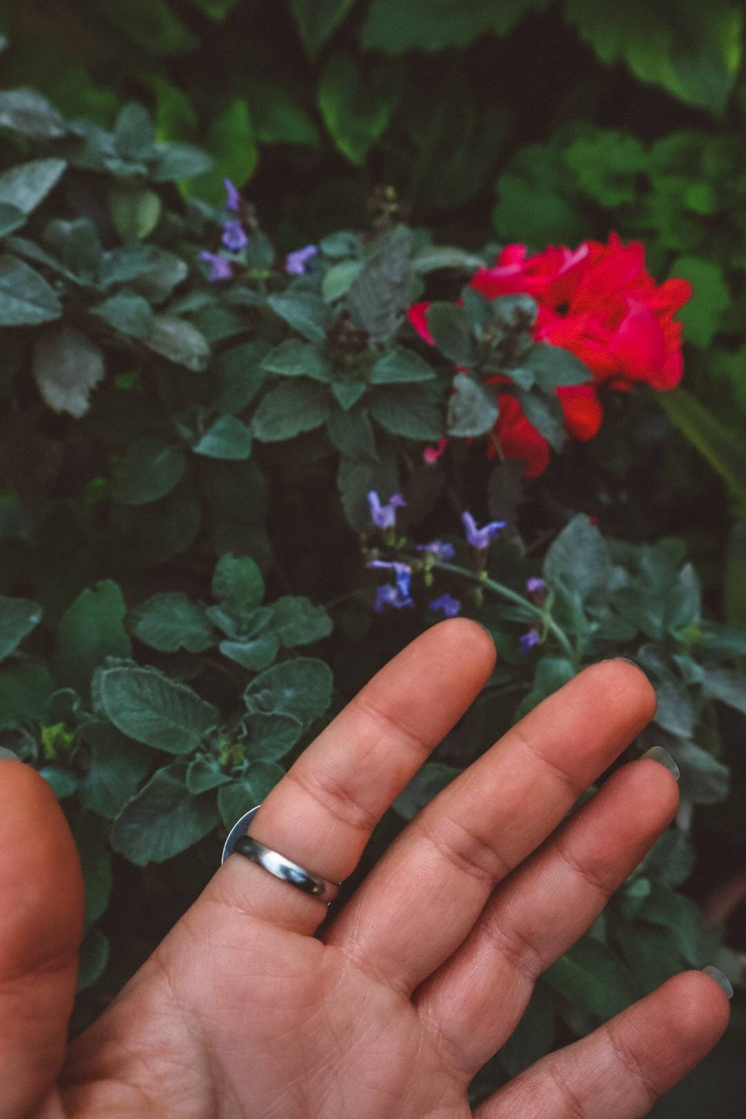Bague de déclaration AYA en argent avec pierre de lune arc-en-ciel