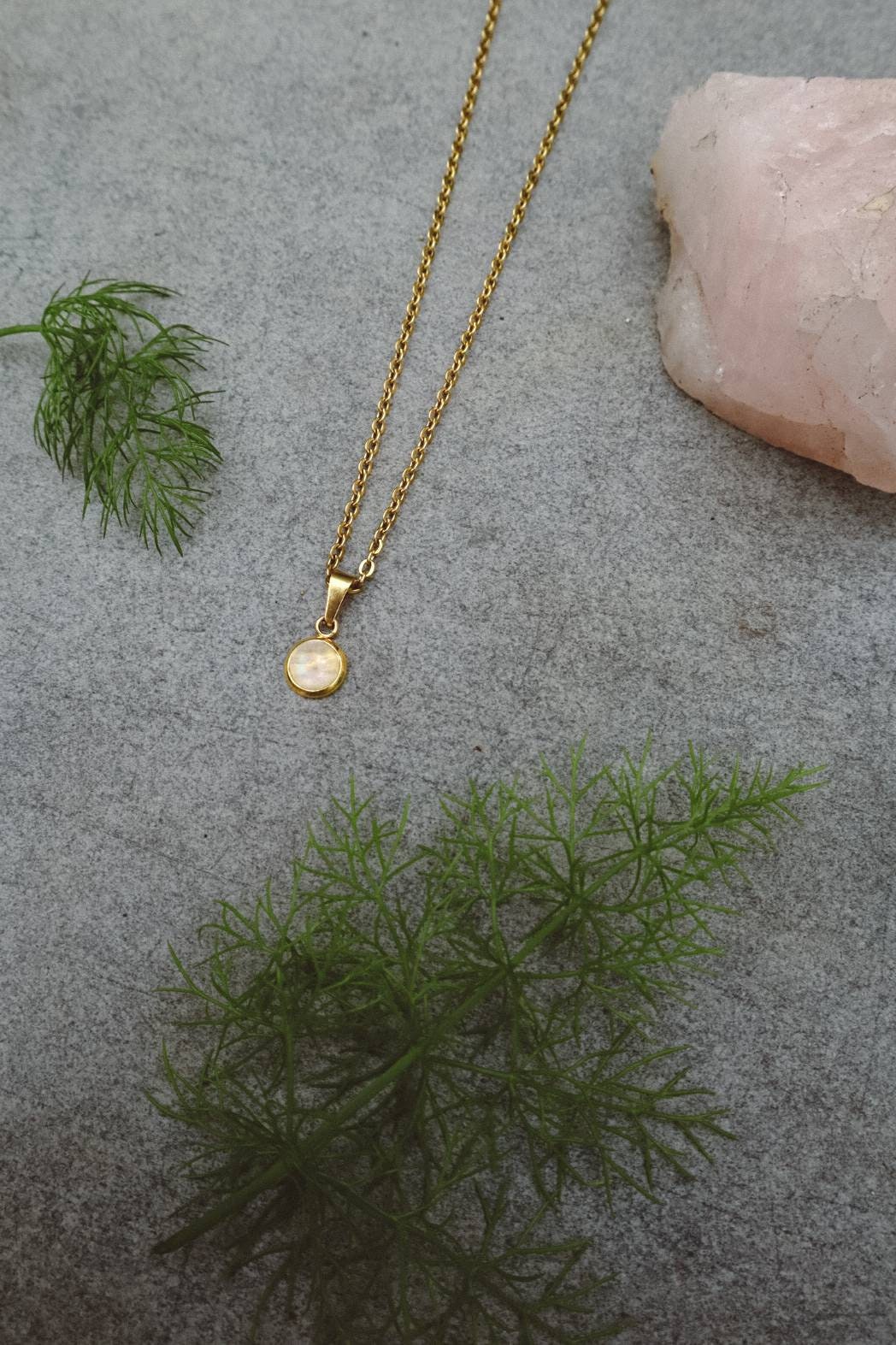 Moonstone Dainty Pendant Necklace - Gold
