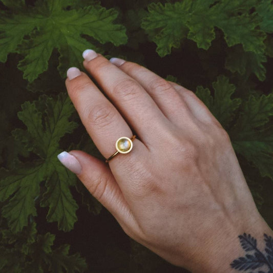 ODESSA Rainbow Moonstone Ring Gold