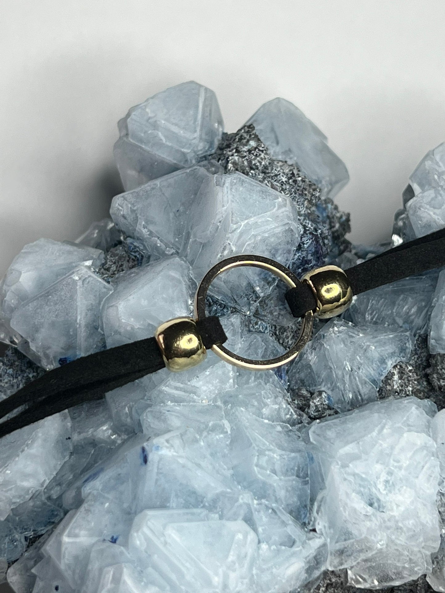 Gold O Ring Choker Necklace