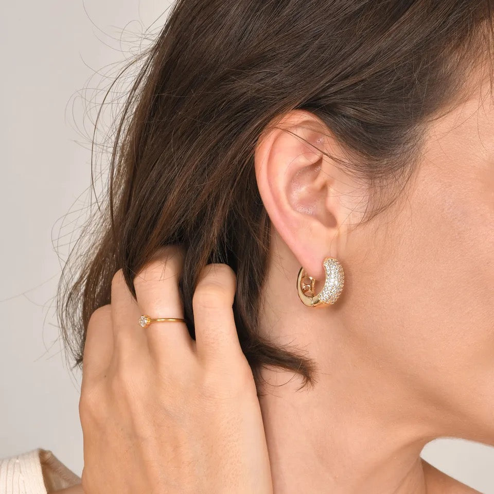 DIANA Zircon Hoop Earrings - Gold