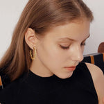 Load image into Gallery viewer, RIYA Twist Hoop Earrings - Gold and Silver
