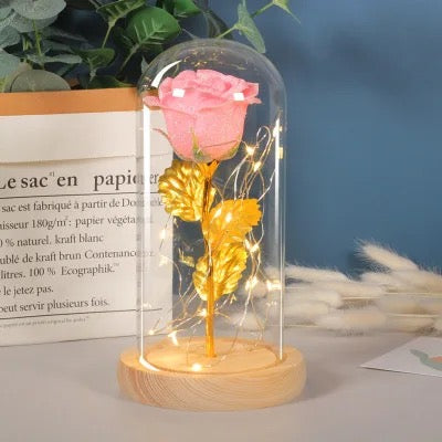 Rose éternelle dans une décoration lumineuse LED en verre