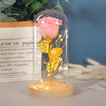 Lade das Bild in den Galerie-Viewer, Ewige Rose in einer LED-Lichtdekoration aus Glas
