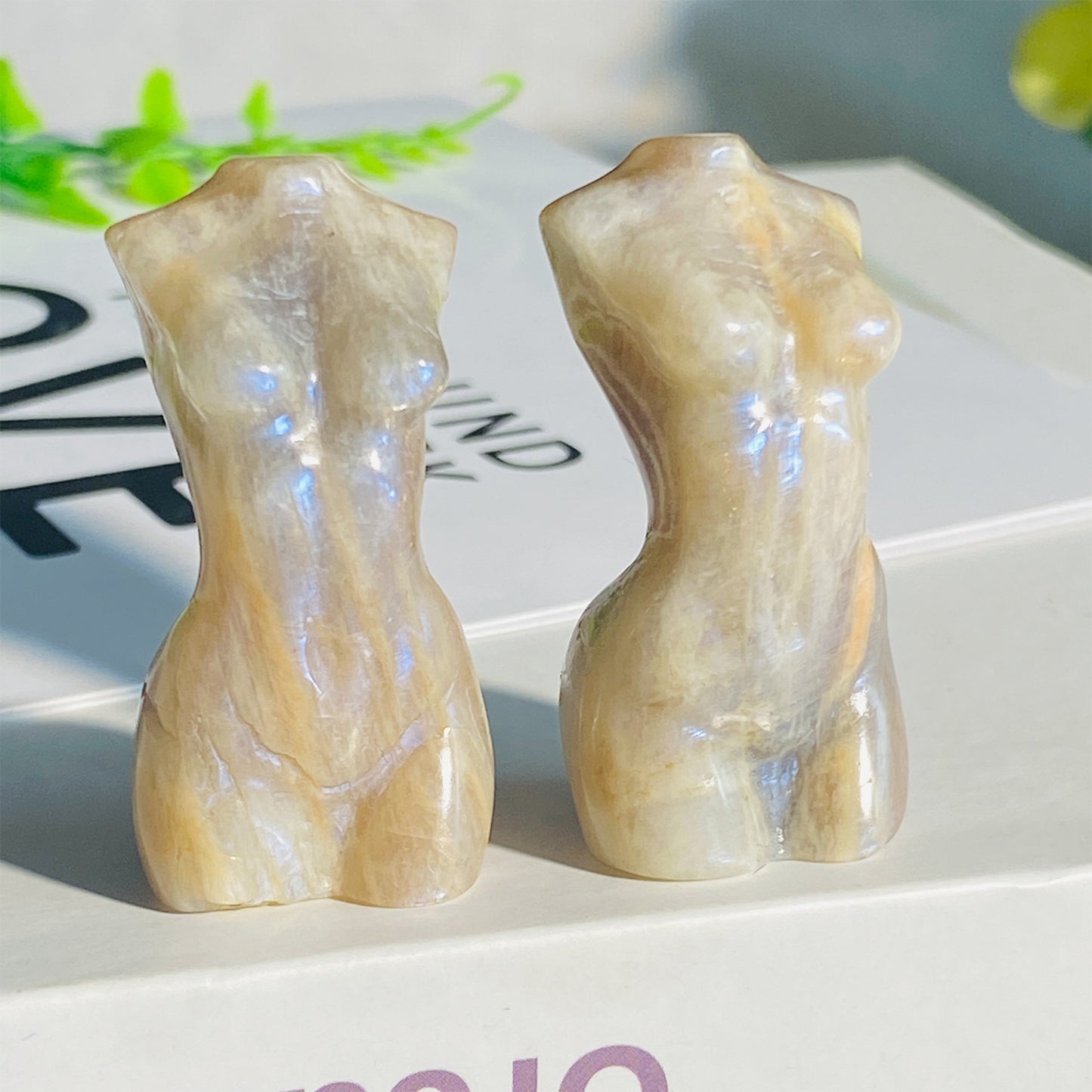 DIVINE Natural Moonstone Female Ornament