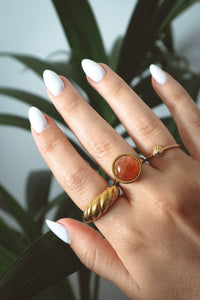 CONCH Shell Ring - Silver