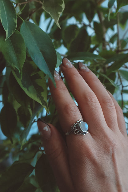 VINES Rainbow Moonstone Oval Ring Silver