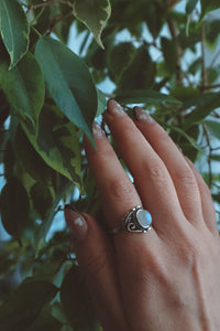 VINES Rainbow Moonstone Oval Ring - Antique Silver