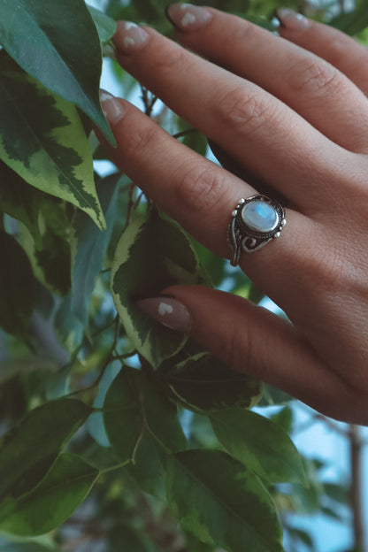 VINES Rainbow Moonstone Oval Ring Silver