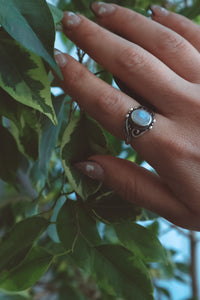 Rainbow Moonstone Oval Ring - Antique Silver