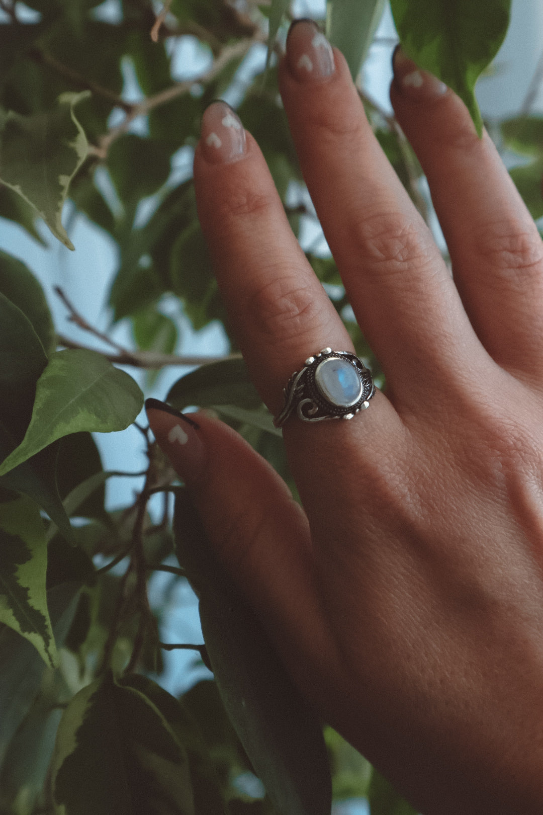 VINES Rainbow Moonstone Oval Ring Silver