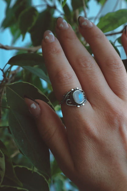 VINES Rainbow Moonstone Oval Ring Silver