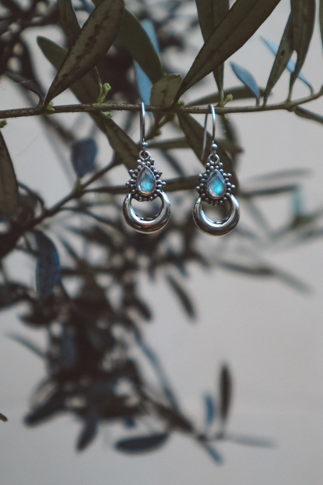 Chandra Rainbow Moonstone X 925 Silver Earrings