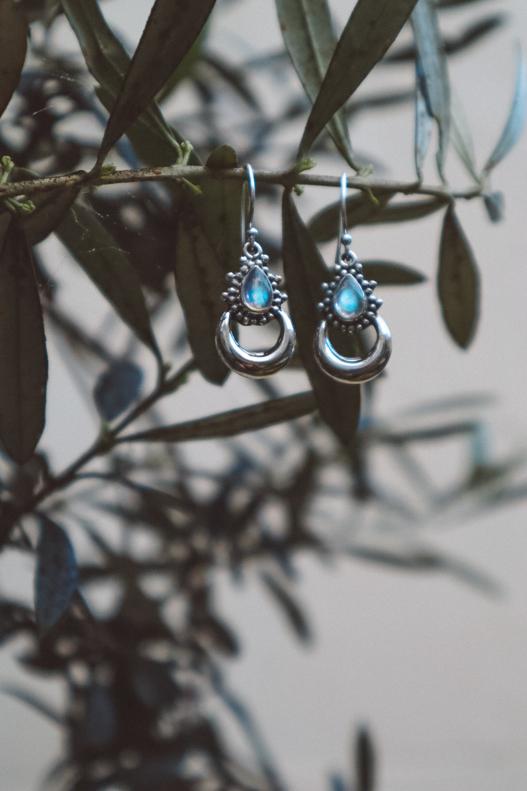 Chandra Rainbow Moonstone X 925 Silver Earrings