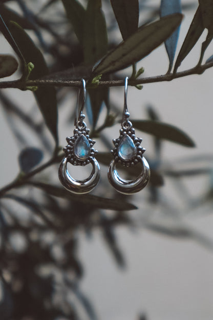 Chandra Rainbow Moonstone X 925 Silver Earrings