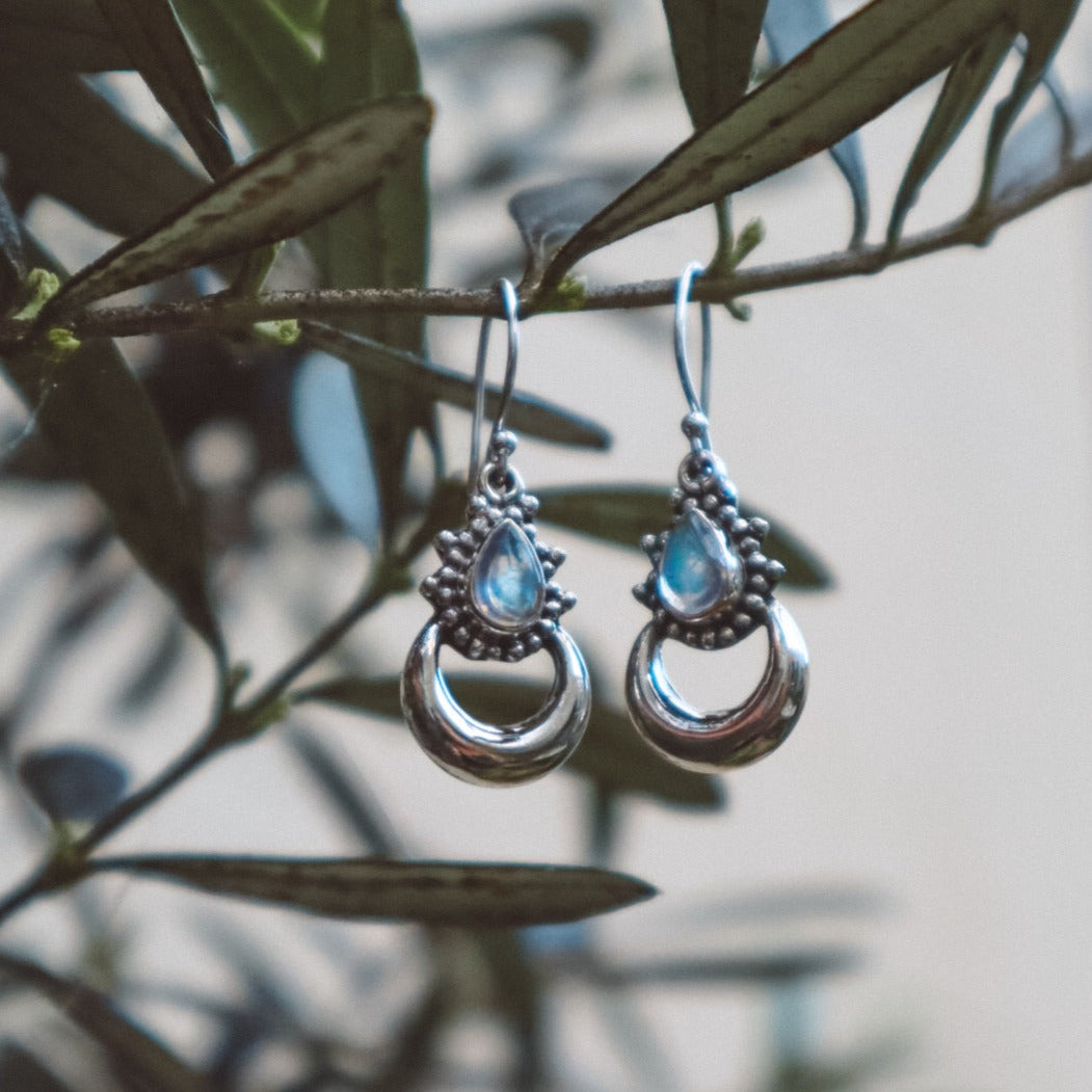 Chandra Rainbow Moonstone X 925 Silver Earrings