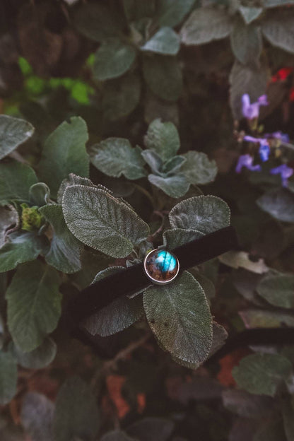 Gemstone Choker Necklace - Black/Silver