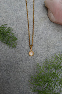 Moonstone Dainty Pendant Necklace - Gold