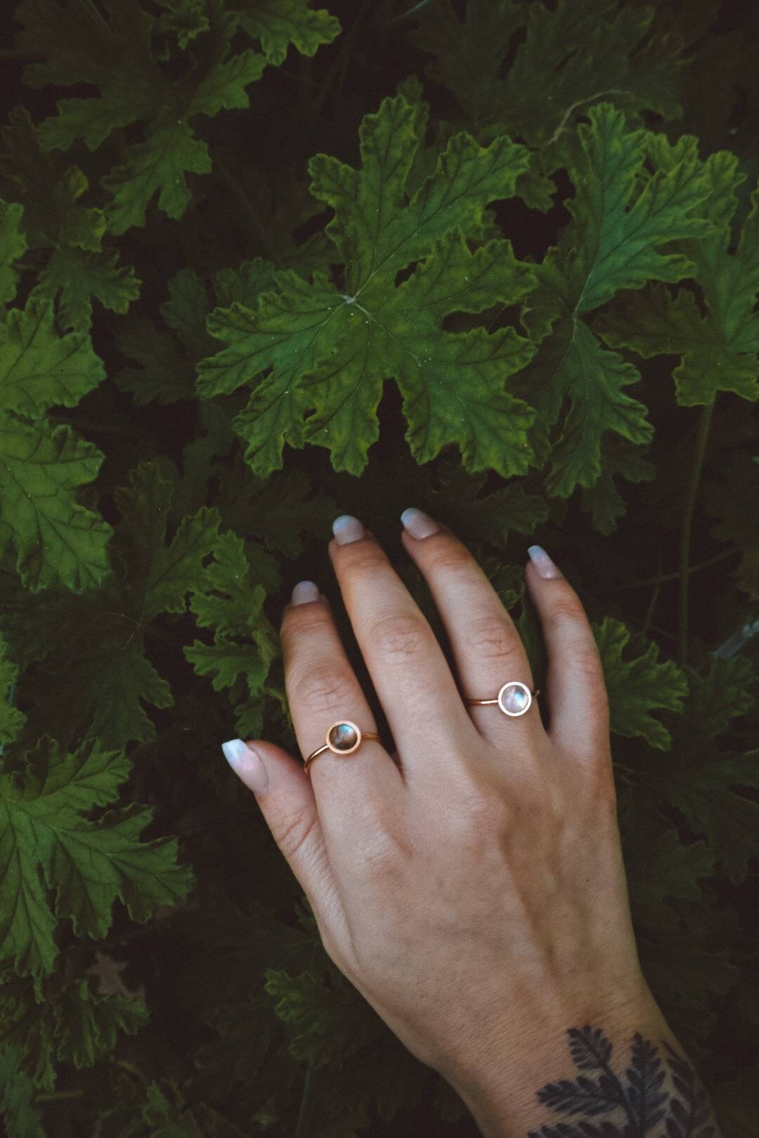 ODESSA Rainbow Moonstone Ring Rose Gold