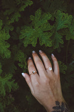 Load image into Gallery viewer, Rainbow Moonstone Minimal Ring - Rose Gold
