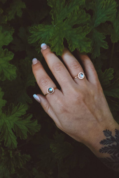 ODESSA Rainbow Moonstone Ring Rose Gold