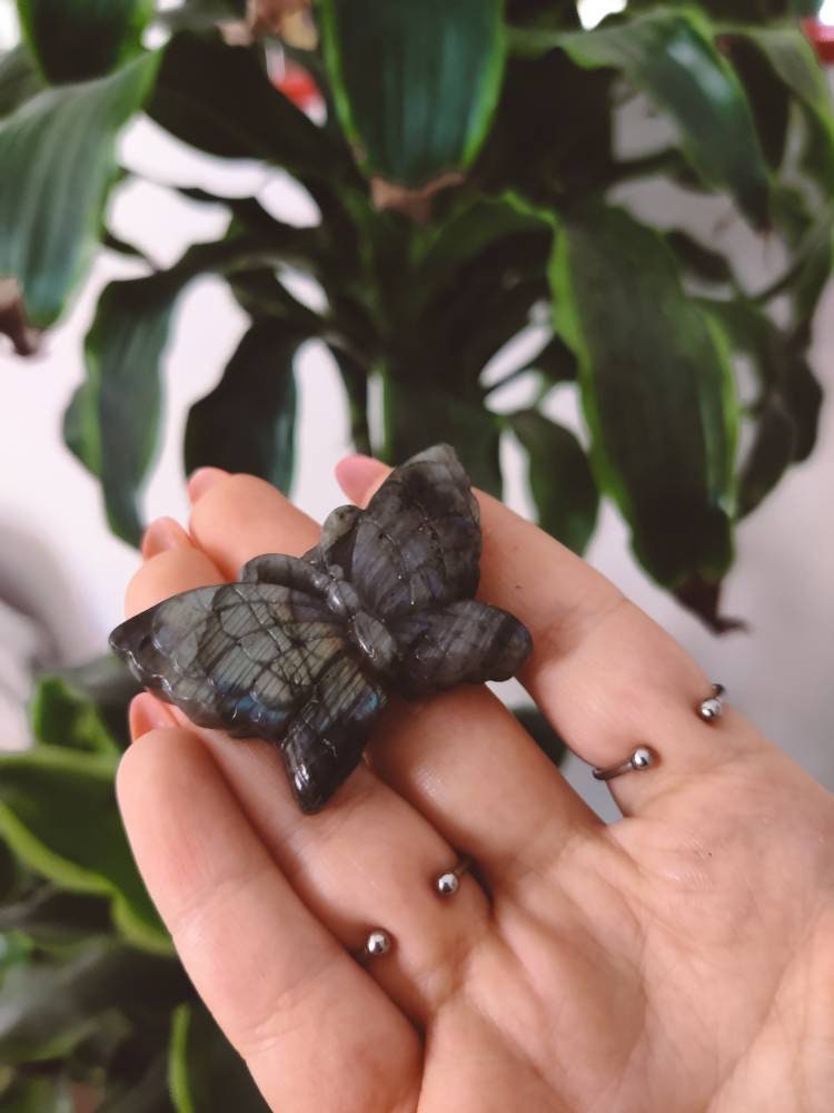 Carved Green Labradorite Butterfly