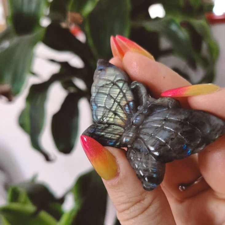 Papillon labradorite vert sculpté