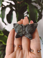Cargar imagen en el visor de la galería, Carved Green Labradorite Butterfly
