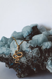 Halskette mit Schlangenanhänger – Gold