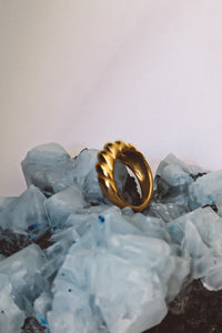 Conch Shell Ring - Gold